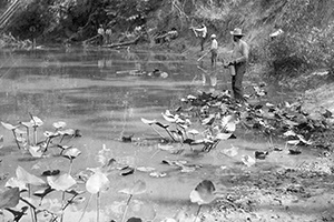 Multiple men stand at the edge of a body of water holding bows and arrows