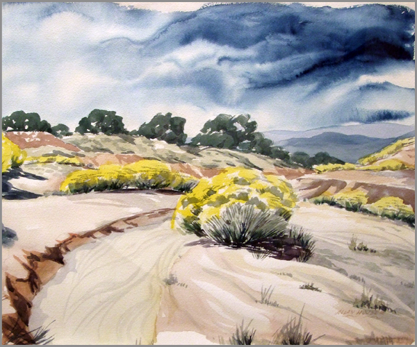 A few bushes grow in a desert with dark blue clouds that resemble water in the sky.